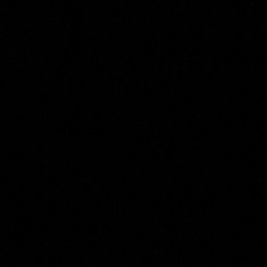 Meet your Posher, Kylie